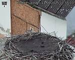 Capi_Dubne_20250911_115503.jpg