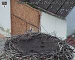 Capi_Dubne_20250911_120002.jpg