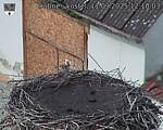 Capi_Dubne_20250911_121003.jpg