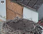 Capi_Dubne_20250911_121503.jpg