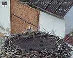 Capi_Dubne_20250911_122003.jpg