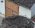 Capi_Dubne_20250911_130002.jpg