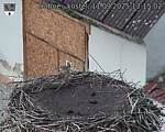 Capi_Dubne_20250911_131502.jpg