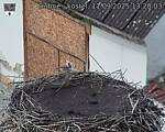 Capi_Dubne_20250911_132003.jpg