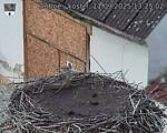 Capi_Dubne_20250911_132502.jpg