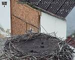 Capi_Dubne_20250911_134003.jpg