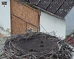 Capi_Dubne_20250911_135504.jpg