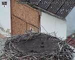 Capi_Dubne_20250911_140503.jpg