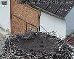 Capi_Dubne_20250911_141002.jpg