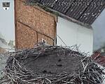 Capi_Dubne_20250911_141504.jpg