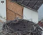 Capi_Dubne_20250911_142002.jpg