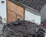 Capi_Dubne_20250911_143504.jpg