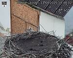 Capi_Dubne_20250911_144002.jpg