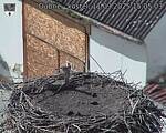 Capi_Dubne_20250911_150503.jpg