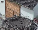 Capi_Dubne_20250911_151503.jpg