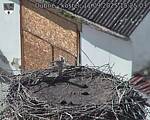 Capi_Dubne_20250911_152503.jpg