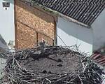 Capi_Dubne_20250911_153503.jpg