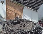 Capi_Dubne_20250911_160503.jpg