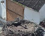 Capi_Dubne_20250911_163502.jpg