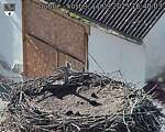 Capi_Dubne_20250911_164003.jpg