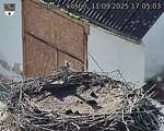 Capi_Dubne_20250911_170503.jpg