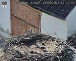Capi_Dubne_20250911_172003.jpg