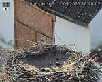 Capi_Dubne_20250911_182002.jpg