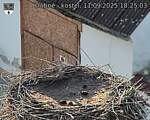 Capi_Dubne_20250911_182503.jpg