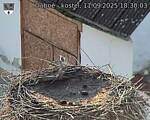 Capi_Dubne_20250911_183003.jpg