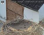 Capi_Dubne_20250911_183503.jpg