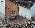 Capi_Dubne_20250911_184003.jpg