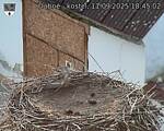 Capi_Dubne_20250911_184502.jpg