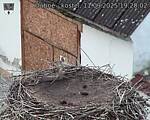 Capi_Dubne_20250911_192002.jpg
