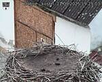 Capi_Dubne_20250911_192503.jpg
