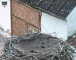 Capi_Dubne_20250911_193503.jpg