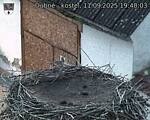 Capi_Dubne_20250911_194003.jpg