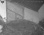 Capi_Dubne_20250911_195502.jpg