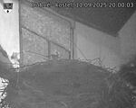 Capi_Dubne_20250911_200003.jpg