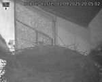 Capi_Dubne_20250911_200502.jpg
