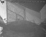 Capi_Dubne_20250911_202503.jpg