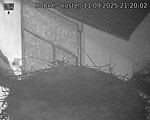 Capi_Dubne_20250911_212002.jpg