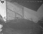 Capi_Dubne_20250911_215003.jpg