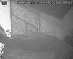 Capi_Dubne_20250912_020003.jpg