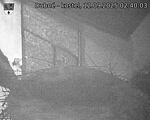 Capi_Dubne_20250912_024003.jpg