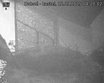 Capi_Dubne_20250912_042002.jpg