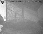 Capi_Dubne_20250912_044003.jpg