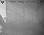 Capi_Dubne_20250912_044502.jpg