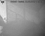 Capi_Dubne_20250912_045003.jpg
