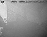 Capi_Dubne_20250912_045502.jpg