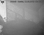 Capi_Dubne_20250912_054503.jpg